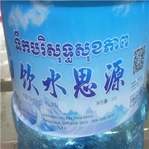 柬埔寨每小時200桶 桶裝純凈水設備